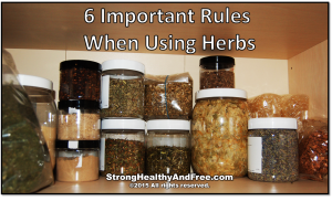 Learn the 6 important rules of using herbs for optimal health, fat loss and muscle gain!