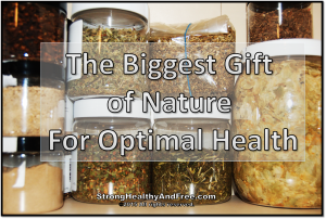 The biggest gift of Nature for optimal health