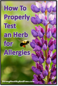 Find out how to properly test an herb for allergies in order to safely reach your health goals with the use of herbs.