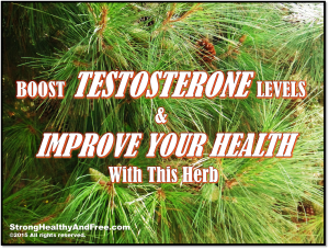 Boost-testosterone-and-improve-your-health-with-this-herb