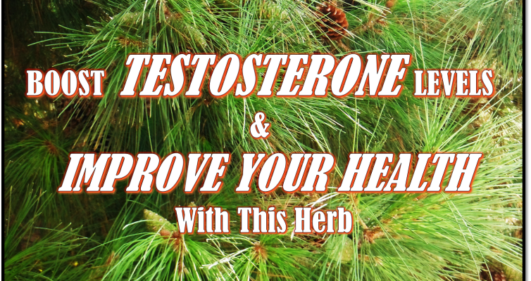 Did you know you can boost testosterone levels and improve your health with an ingredient found in nature?