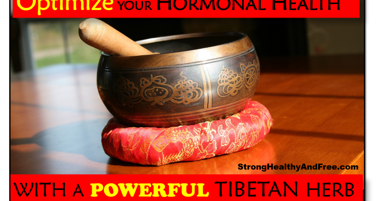 Learn how to optimize your hormonal health with a powerful Tibetan herb. This herb can also reduce fatigue, increase libido and decrease cortisol levels.