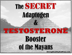 Learn everything about the secret adaptogen and testosterone booster of the Mayans and how to use it.