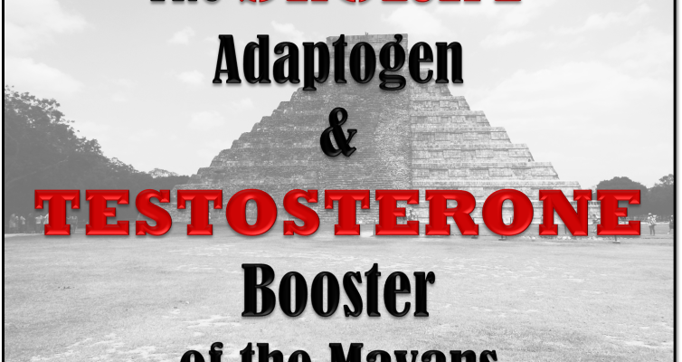 Learn how to protect from adrenal fatigue and raise testosterone levels naturally by using the secret adaptogen and testosterone booster of the Mayans.
