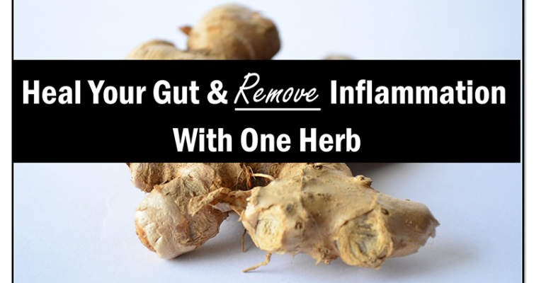 Learn how you can optimize your health, heal your gut and remove inflammation with one majestic herb.