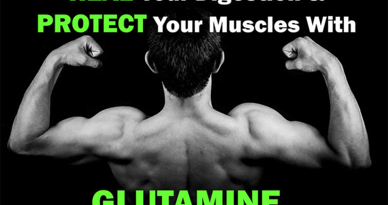 Learn how you can heal your digestion and protect your muscles with glutamine. This supplement can help you optimize your health or overall muscle building.