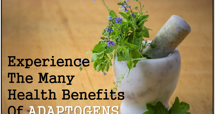 The many health benefits of adaptogens! #herbs #adaptogens #antistress