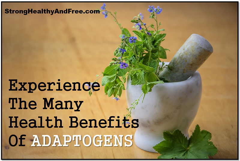 The Many Health Benefits Of Adaptogens! - StrongHealthyAndFree.com