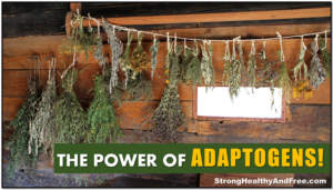 Adaptogens: the ultimate stress-fighting herbs! #antistress #herbs