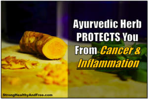 This Ayurvedic herb protects you from Cancer and inflammation! #herbs #health #anti-inflammatory #Ayurveda