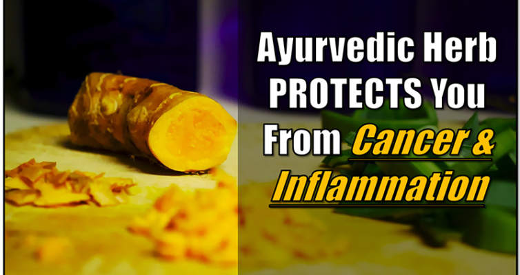 This Ayurvedic herb protects you from Cancer and inflammation! #herbs #health #anti-inflammatory #Ayurveda