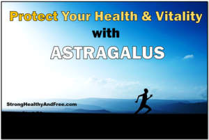 Learn how you can protect your health and vitality with astragalus! #adaptogens #health
