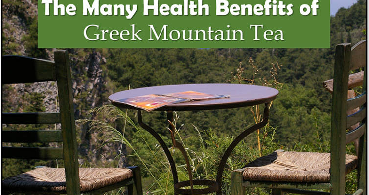 Experience the many health benefits of Greek mountain tea! #Greek #mountaintea #healthbenefits