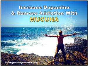 Increase dopamine and remove addiction with Mucuna! #adaptogens #addiction #dopamine