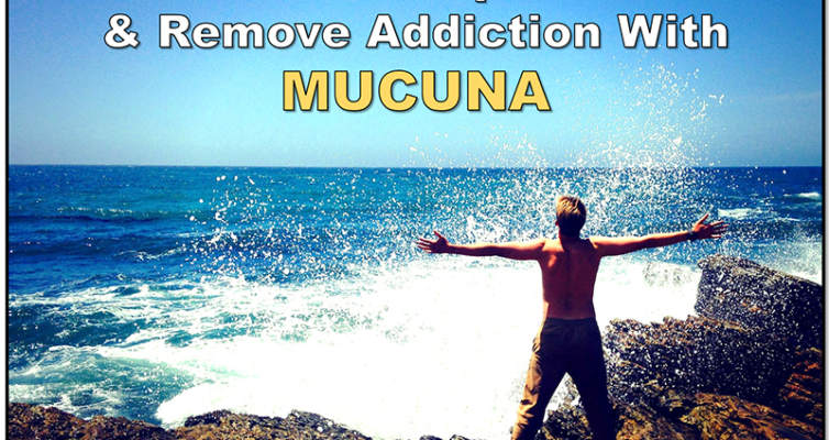 Increase dopamine and remove addiction with Mucuna! #adaptogens #addiction #dopamine