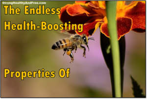 Discover the Endless health boosting properties of propolis! #propolis #beeproducts #health