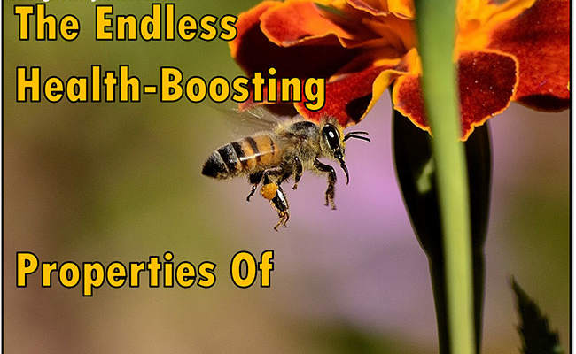 Discover the Endless health boosting properties of propolis! #propolis #beeproducts #health